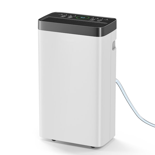 Edendirect 21 pt. 2,000 sq. ft. Dehumidifier in. White with Drain Hose and Bucket, Auto Defrost, Sleep Mode ZR-AP10-2012EE - main