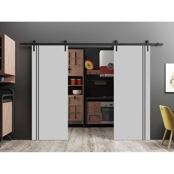 Sartodoors Sliding Double Barn Doors with Hardware, Planum 0016 Matte Grey and Aluminum Strips, 13FT Rail Hang PLANUM0016DB-GRE-56 - main