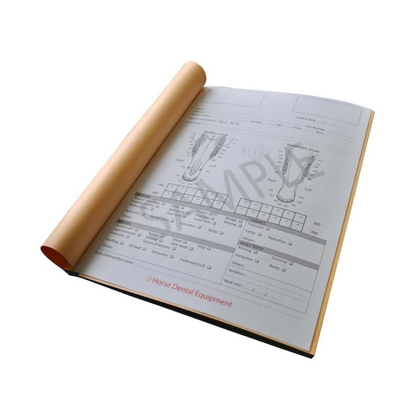 Jorgensen Laboratories Equine Dental Charts (English), 50PK J1699 - main