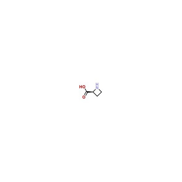 Ak Scientific (S)-(-)-2-Azetidinecarboxylic acid (1g), CAS 2133-34-8 D297-1g - main