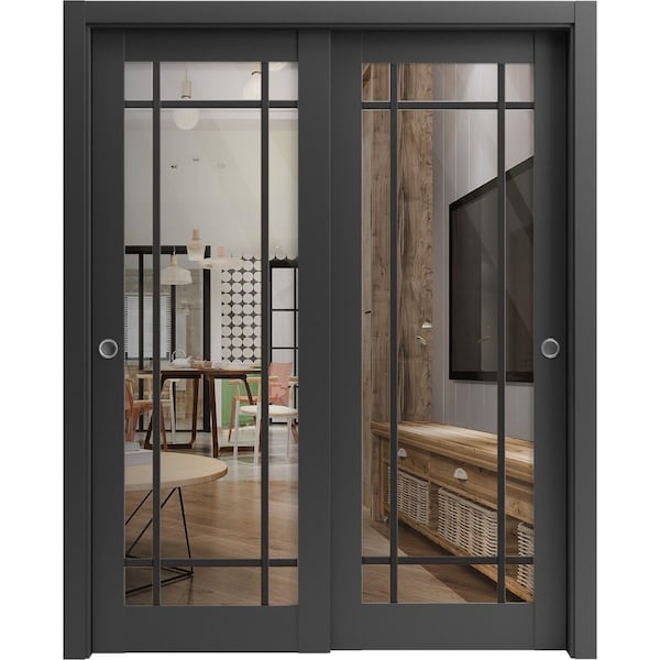 Sartodoors Sliding Closet Bypass Doors with Clear Glass, Lucia 2266 Matte Black and Aluminum Strips, Sturdy R LUCIA2266DBD-BLK-60 x 96 (2* 30x96) - main
