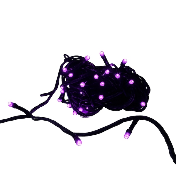 Elegani 100 LED String Lights with Connector-Purple Lights on Green Wire, Indoor Outdoor Waterproof Holiday PH-100-PPL - main