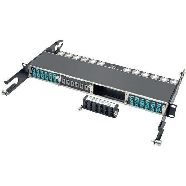 Tripp Lite 100GB/120GB PASS-THROUGH CASSETTE 12 24-FIBER MTP/MPO N484-12M24 - main