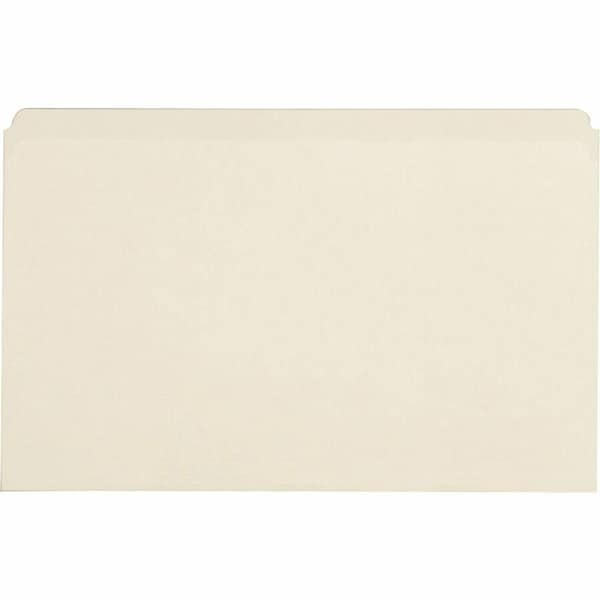 Business Source File Folder, Manila, Manila, PK100 BSN43566 - main