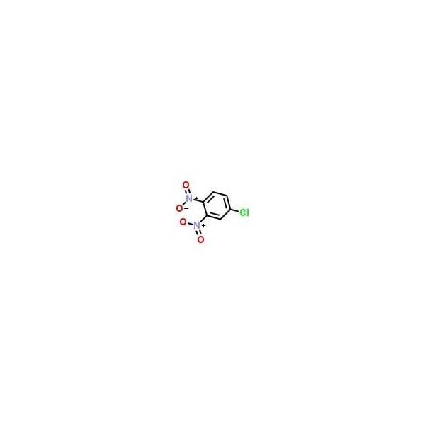 Ak Scientific 3, 4-Dinitrochlorobenzene (5g), CAS 610-40-2 H297-5g - main