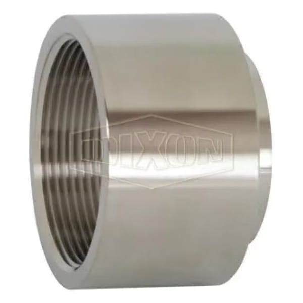 Dixon 0.5 in BWXFNPT ADAPTER 316L B22WB-R50 - main