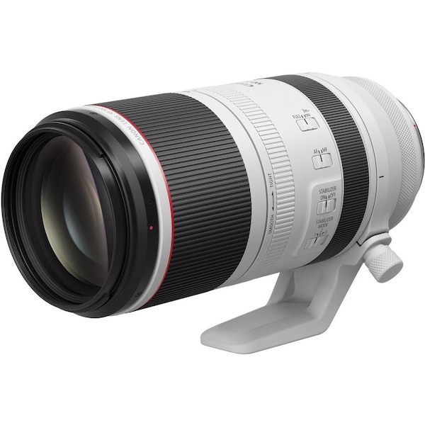 Canon RF100-500MM F4.5-7.1 L IS USM LENS 4112C002 - main