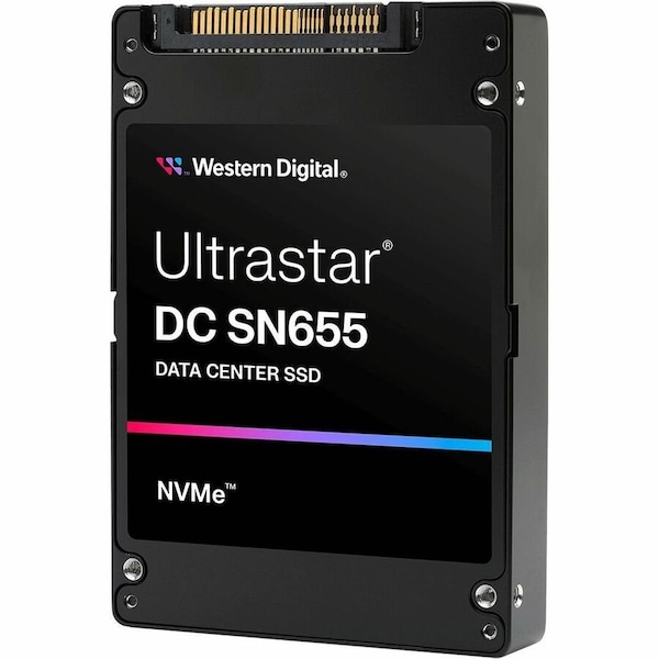 Sandisk SN655 - 15.36TB 0TS2463 - main