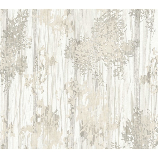 York Wallcoverings Aspen Grove Grey Wallpaper GN2603 - main