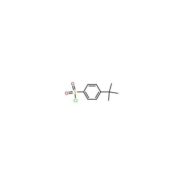 Ak Scientific 4-tert-Butylbenzenesulfonyl chloride (100g), CAS 15084-51-2 P246-100g - main