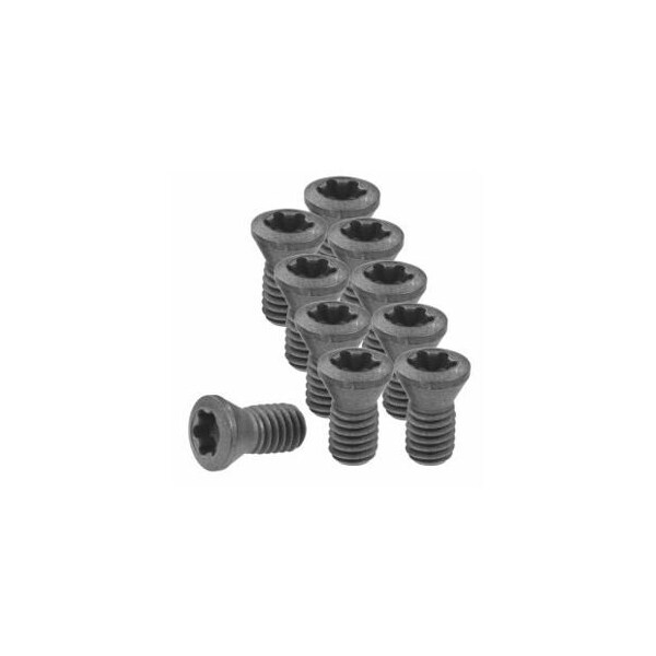 Garant Set of Insert Screws, 10 Pieces 219841 - main