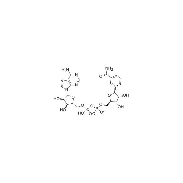 Ak Scientific beta-Nicotinamide adenine dinucleotide hydrate (1g), CAS 53-84-9 M041-1g - main
