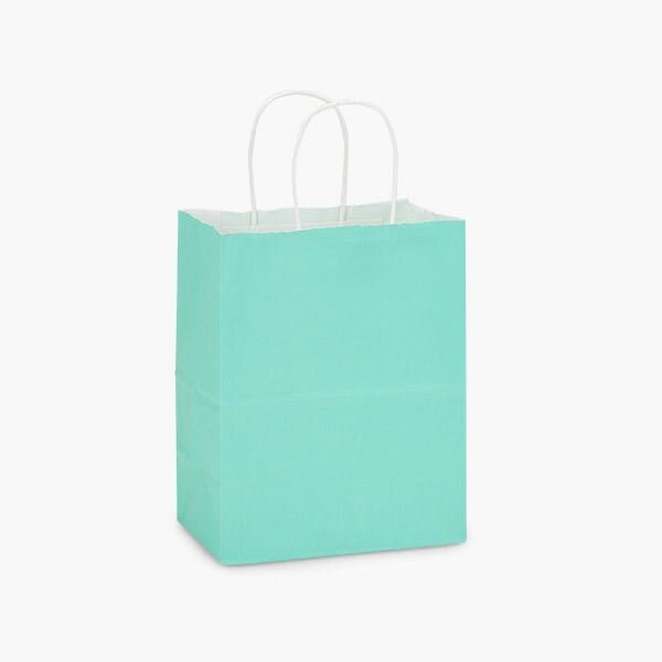 Nashville Wraps Aqua White Kraft Shopping Bags Cub 8x4.75x10.25, 100PK AQHCW - main
