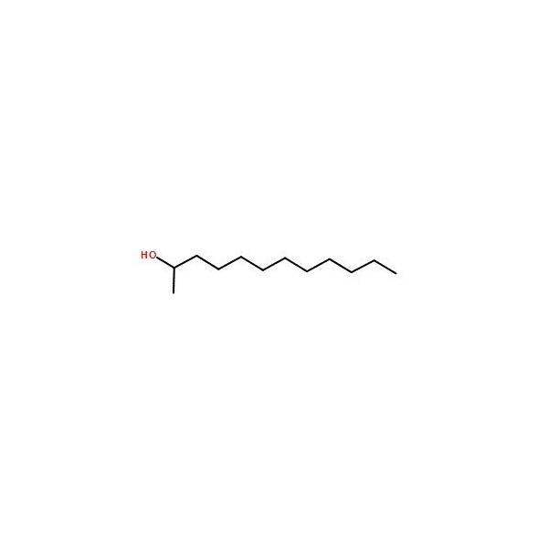 Ak Scientific 2-Dodecanol (1g), CAS 10203-28-8 5599AL-1g - main