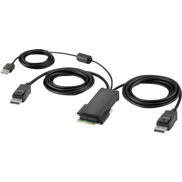 Belkin Modular DP Dual Head Host Cable 6 Feet F1DN2MOD-HC-P06 - main