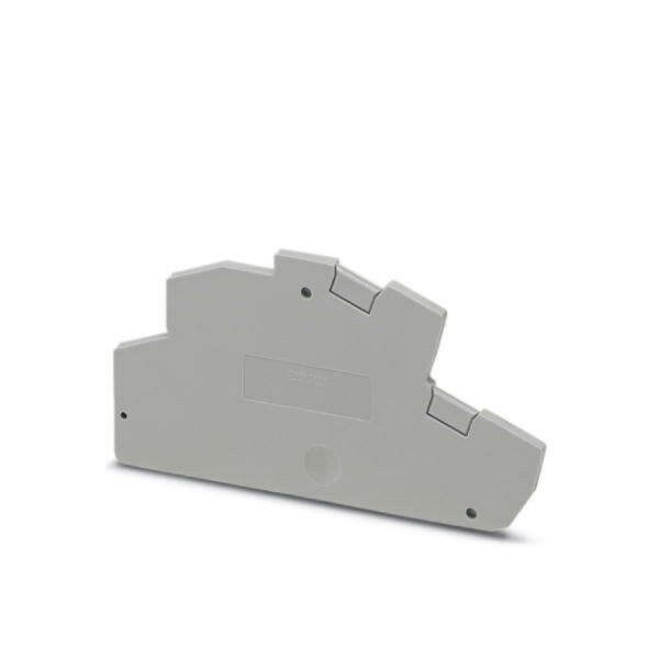 Phoenix Contact D-PTTBS 1 5/S/2P End cover length: 80 3214534 - main