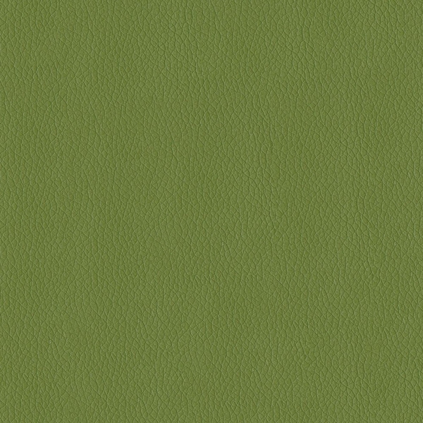 Abbeyshea Sprig, Polyurethane Coated Faux Leather Fabric, 1 Yard L, 54 in W MIAMI205 - main