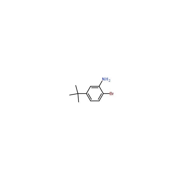 Ak Scientific 2-Bromo-5-(tert-butyl)aniline (5g), CAS 58164-14-0 8608AB-5g - main