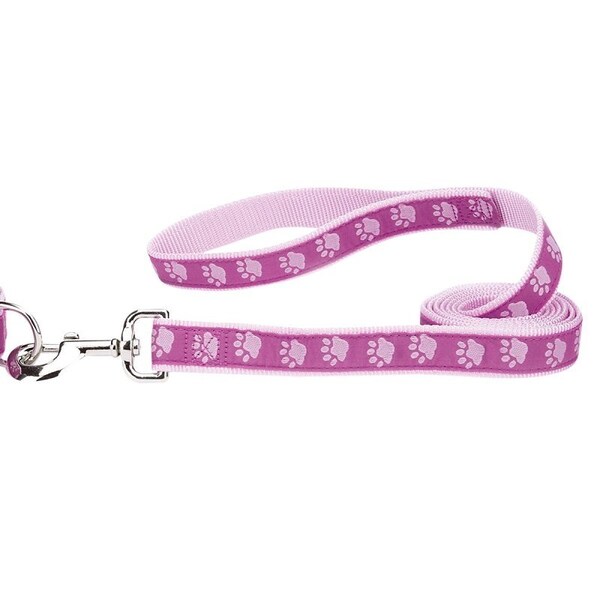 Casual Canine Two-Tone Pawprint Dog Lead, 6 ft L, 1 in W, Nylon Line, Pink, Fastening Method: Swivel Clip ZA8861 66 75 - main