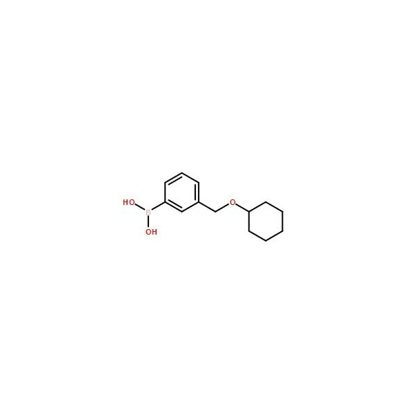 Ak Scientific 3-(Cyclohexyloxy)methylphenylboronic acid (10g), CAS 1256358-64-1 X1985-10g - main