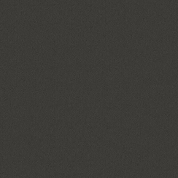 Abbeyshea Whisper, PVC Coated Faux Leather, Contract Grade, Upholstery Fabric, Charcoal Samples WHISPWHI2139M9X9 - main