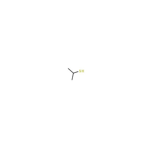 Ak Scientific 2-Mercaptopropane (25mL), CAS 75-33-2 U039-25mL - main