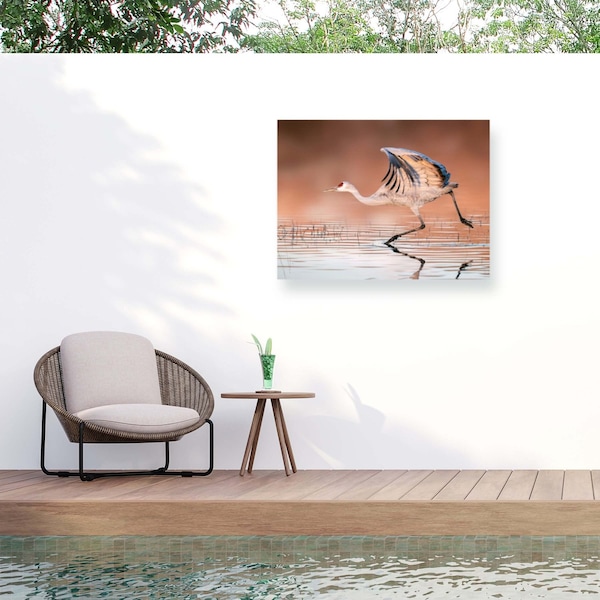 Trademark Fine Art Outdoor Canvas Art James Lu Running In The Morning Mist Wall Art for Patios, or Gardens 1X28108-OC2432WR - main