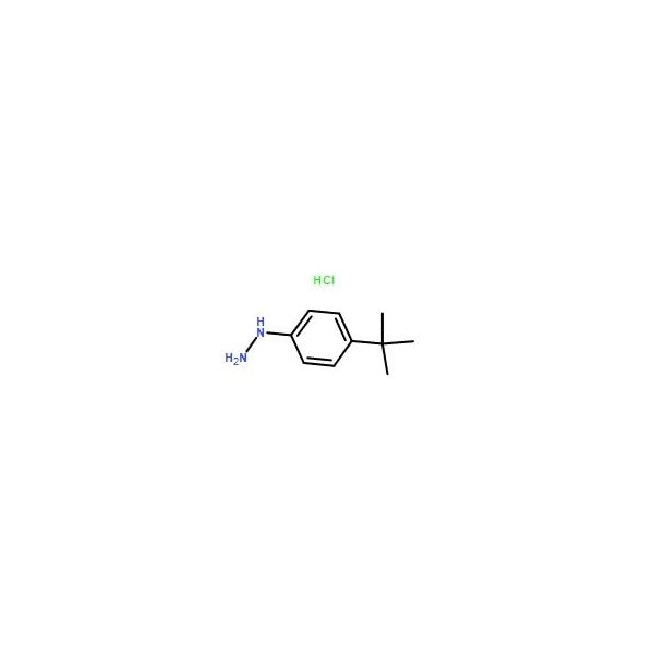 Ak Scientific (4-(tert-Butyl)phenyl)hydrazine hydrochloride (100g), CAS 128231-55-0 X9724-100g - main