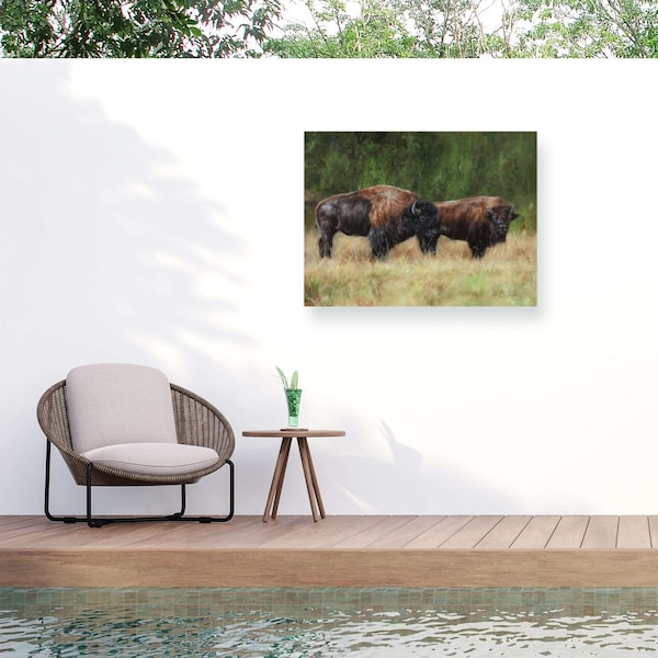 Trademark Fine Art Outdoor Canvas Art David Stribbling 'Bison Pair' Wall Art for Patios, or Gardens GRL00274-OC2432WR - main