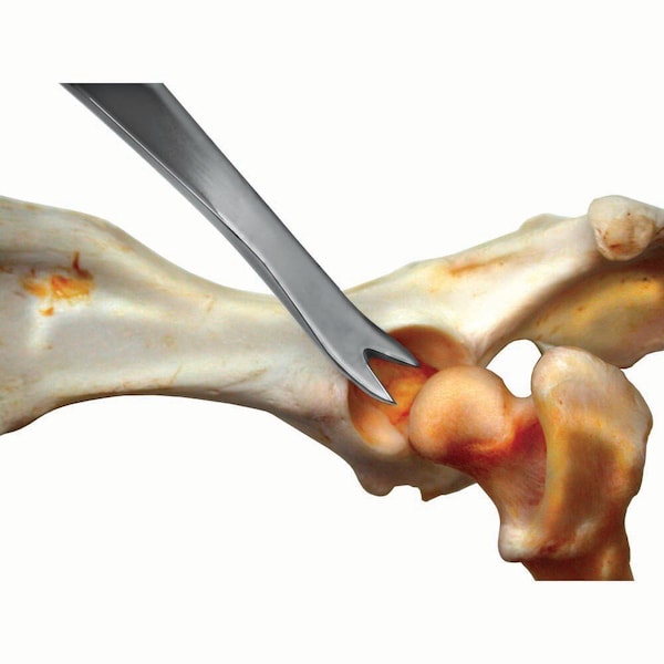 Jorgensen Laboratories Femoral Disarticulator, Small, 5.5" J0233 - main