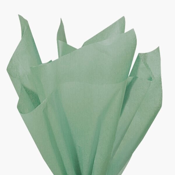 Nashville Wraps Cedar Green Color Tissue Paper, 20x30", 480PK CT3CD - main
