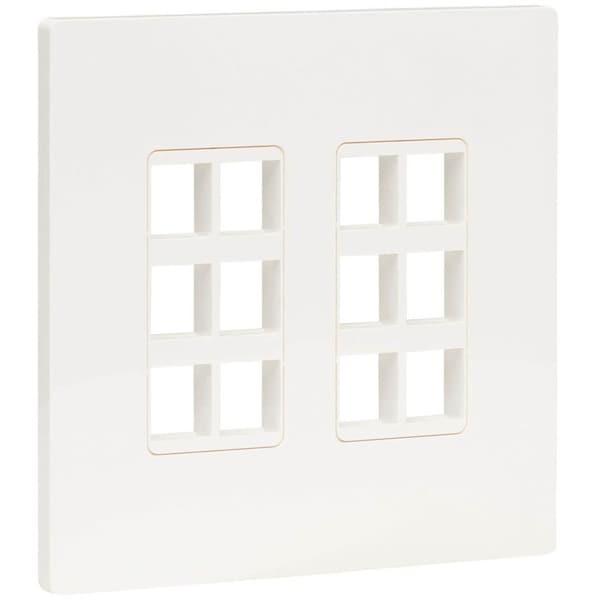 Eaton Tripp Lite Series 12-Port Keystone Double-Gang Faceplate, White, TAA N080-212 - main