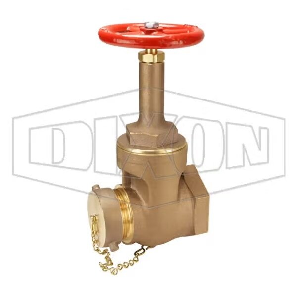 Dixon Rising Stem Wedge Disc Gate Valve, 3 x 2-1/2 in Nominal, FNPT x Male NH NST End Style, Hand wheel Ac RWDGV3025F - main