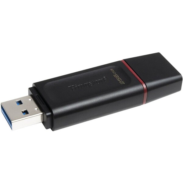 Kingston DataTraveler Exodia 256GB USB 3.2 (Gen 1) Flash Drive DTX/256GB - main