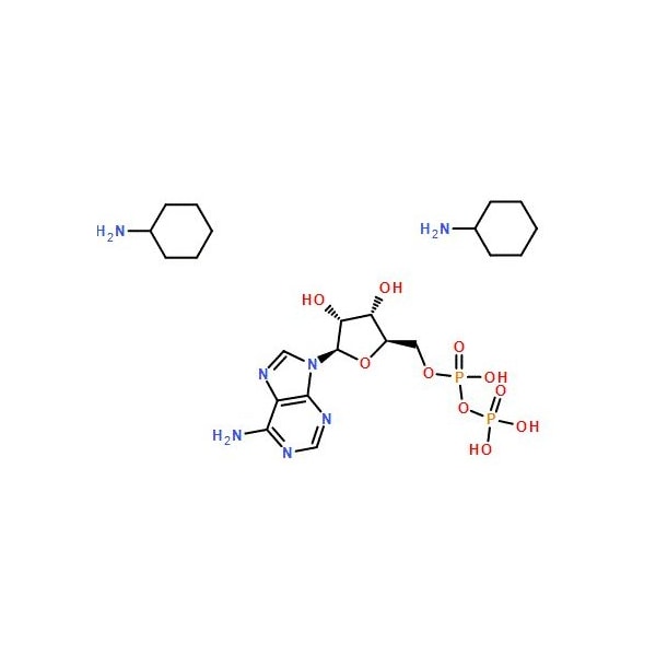 Ak Scientific Adenosine 5'-diphosphate bis(cyclohexylammonium) salt (1g), CAS 102029-87-8 X4892-1g - main