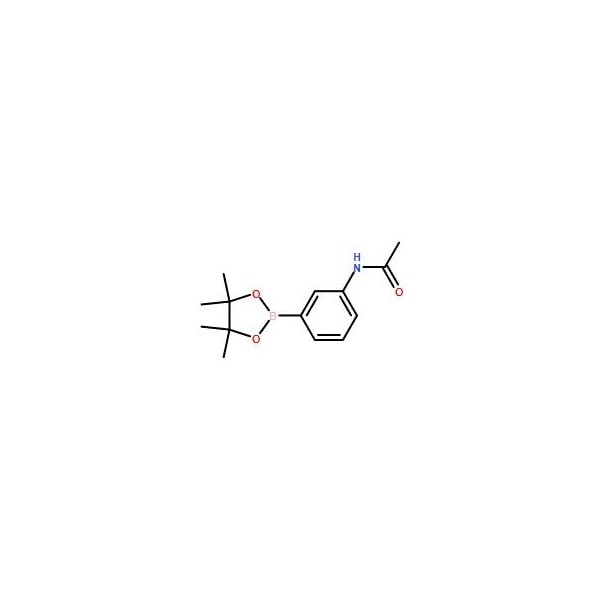 Ak Scientific 3-Acetylaminophenylboronic acid pinacol ester (1g), CAS 480424-93-9 X0838-1g - main