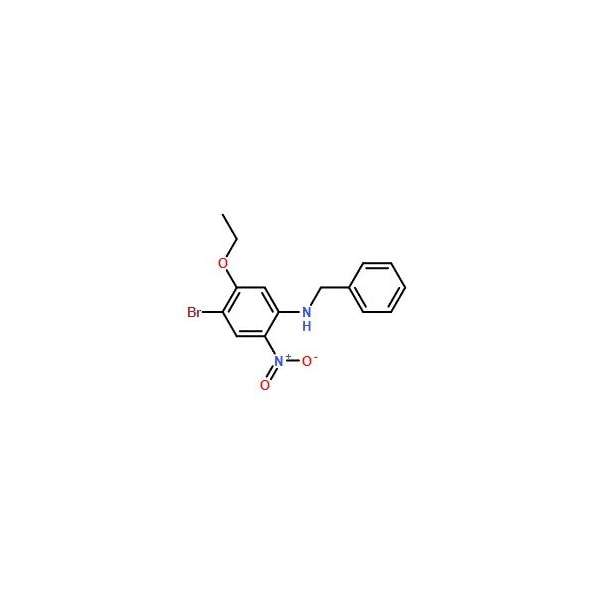 Ak Scientific N-Benzyl-4-bromo-5-ethoxy-2-nitroaniline (1g), CAS 1345471-72-8 Z9787-1g - main