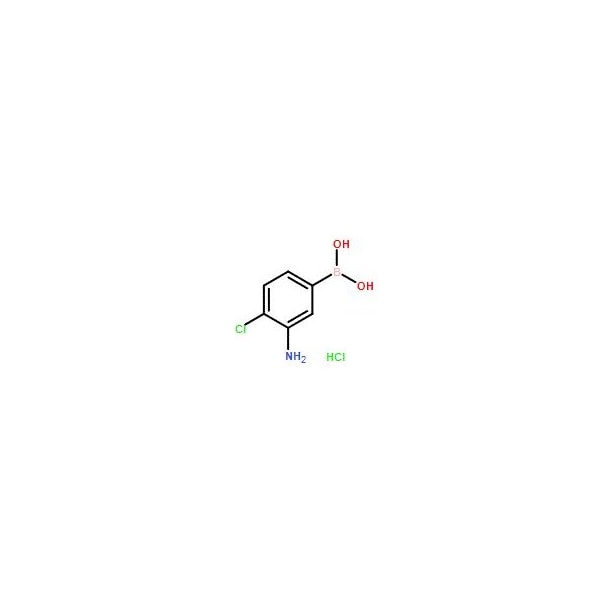 Ak Scientific 3-Amino-4-chlorophenylboronic acid hydrochloride (1g), CAS 850568-45-5 X2425-1g - main