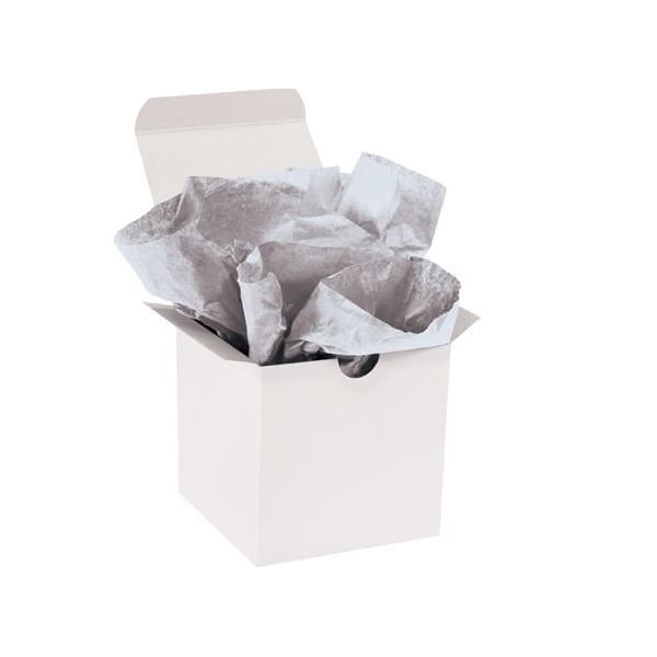 Bubblefast 200 20 x 30'' Metallic Silver Gift Grade Tissue Paper BFT2030JJ - main