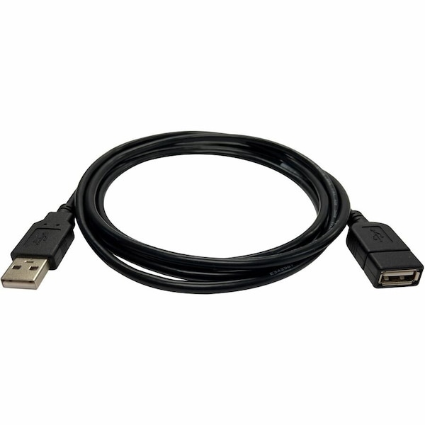 Black Box BLACK BOX USB 2.0 Ext Cable Type-a M/f 10ft USB05E-0010-R2 - main