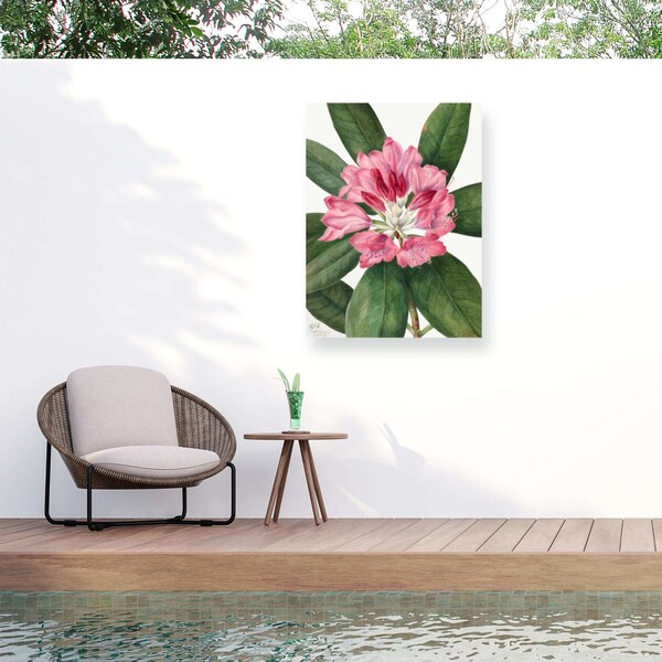 Trademark Fine Art Outdoor Canvas Art Mary Vaux Walcott 'Mountain Rose Bay' Wall Art for Patios, or Gardens 1X27411-OC2432WR - main