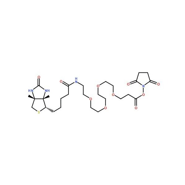 Ak Scientific Biotin-PEG4-NHS ester (1g), CAS 459426-22-3 6188AH-1g - main
