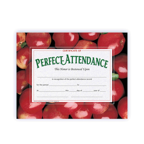 Hayes Certificate of Perfect Attendance Pack of 5 VA513-5 - main