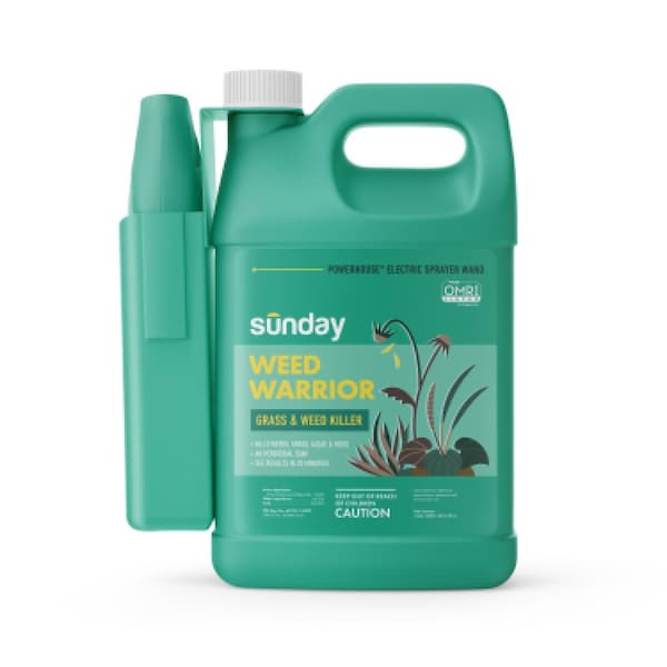 Sunday Weed and Grass Killer RTU Liquid 1 gal WC2005 - main