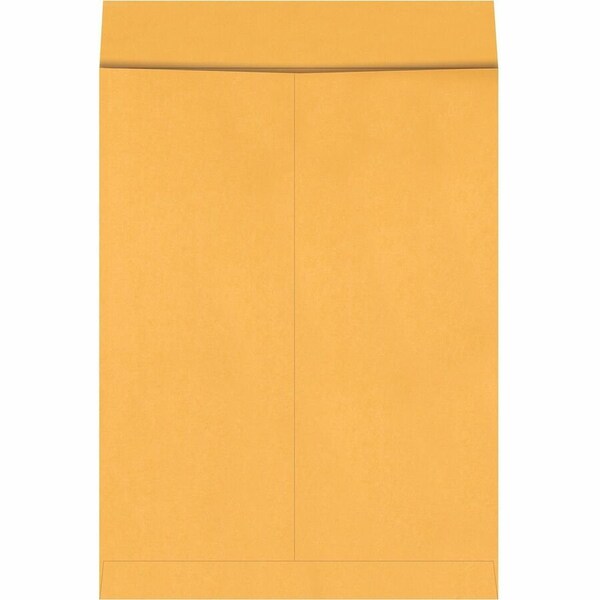 Quality Park Jumbo Catalog Envelopes, 17 "W, 22 "H, PK25 QUA42356 - main