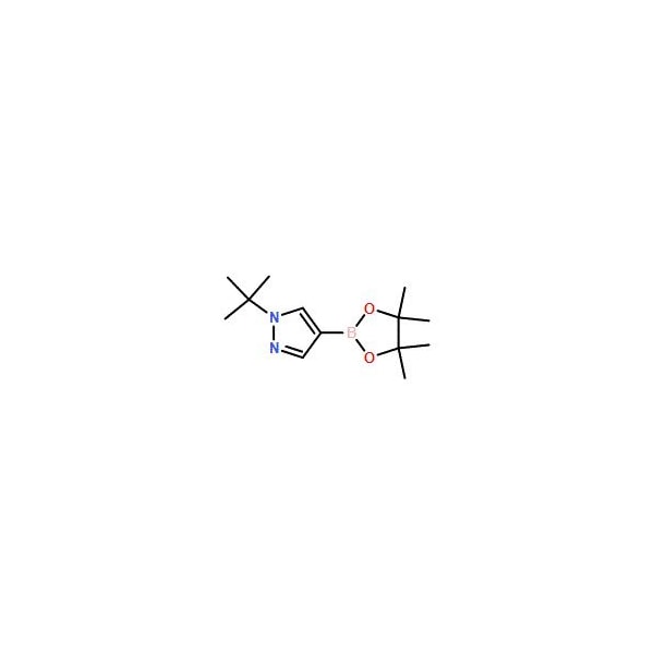 Ak Scientific 1-t-Butylpyrazole-4-boronic acid pinacol ester (1g), CAS 1256359-15-5 Z8938-1g - main