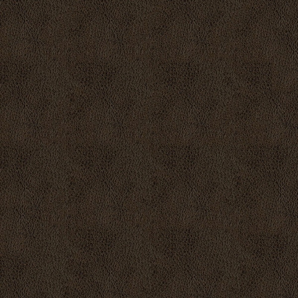 Abbeyshea Tobacco, Polyurethane Coated Faux Leather Fabric, 9 in L, 9 in W BALDW89M9X9 - main