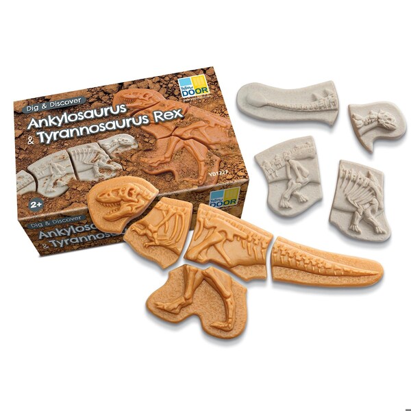 Yellow Door Dig and Discover, Ankylosaurus & Tyrannosaurus Rex YD1227 - main