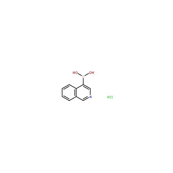 Ak Scientific Isoquinoline-4-boronic acid hydrochloride (100g), CAS 677702-23-7 V5010-100g - main