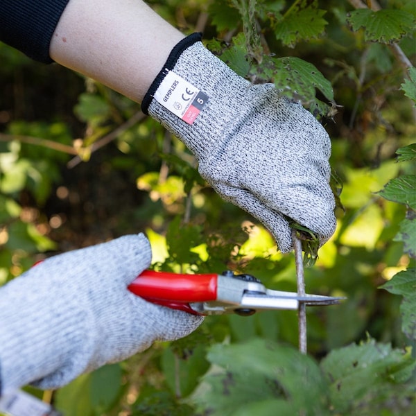 Gemplers Cut-Resistant Gloves, Cut Level A5 , Uncoated , L 1 PR 238041 - main